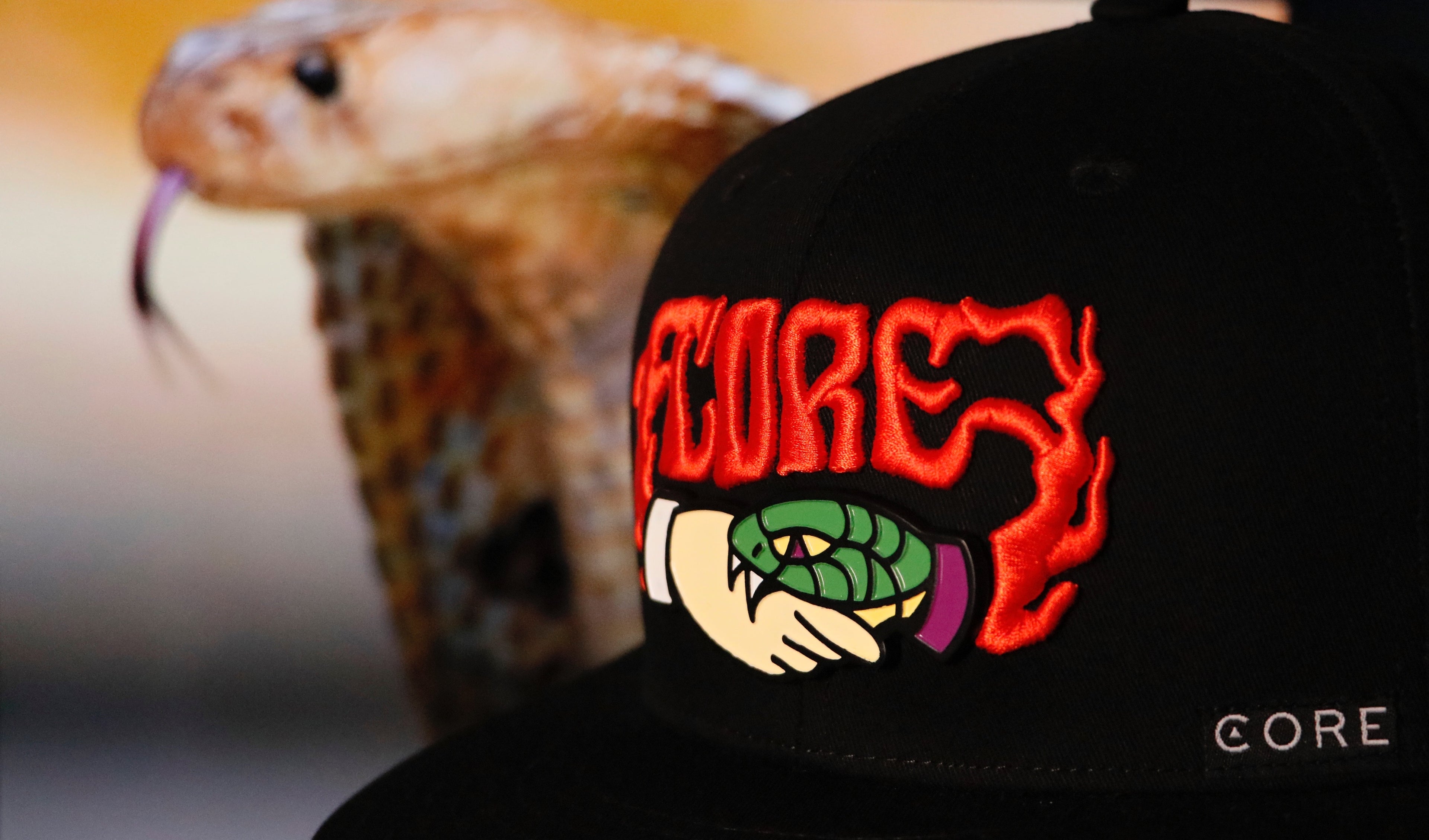 Gorra Core Traitor