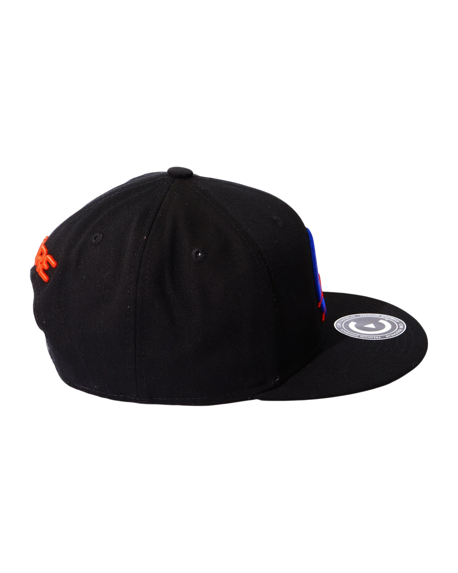 Gorra Nasa