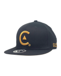 Gorra Eart Logo
